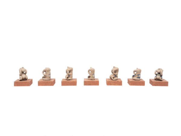 Fichas técnicas Tucumán - 112º SNAV